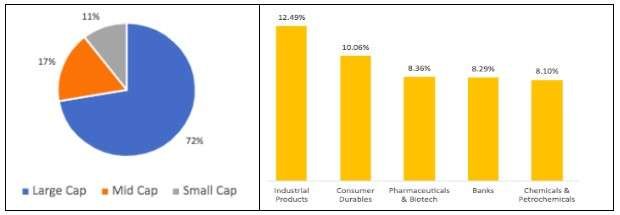 DSP midcap fund portfolio composition