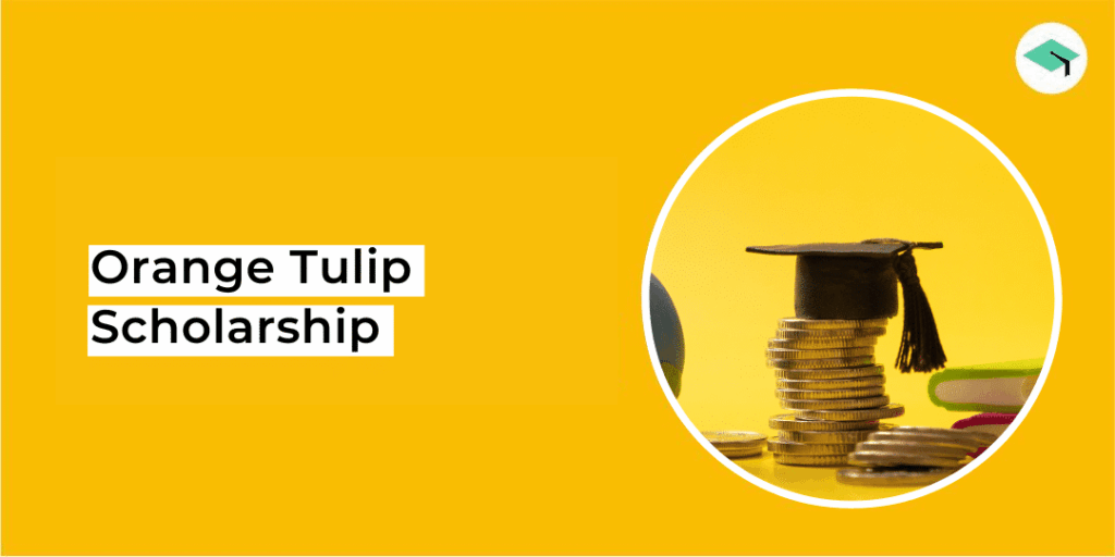 orange tulip scholarship